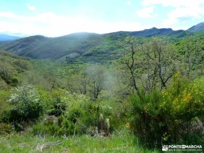 Montaña Palentina-Fuentes Carrionas;las hoces del cabriel monasterio el paular viajes culturales la